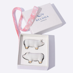 Keramicki-porcelanski set slanika - pakovanje